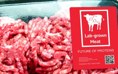 InFamily Foods beantragt Zulassung von gezüchtetem Laborfleisch in der EU