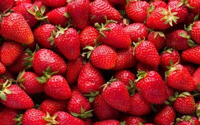 Erdbeeren by Bayer