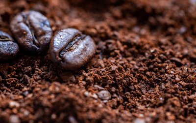 Molecular Coffee: Die High-Tech-Antwort auf die globale Kaffeekrise